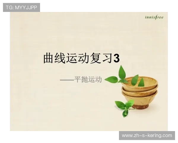 乒乓球运动的魅力与技巧探秘：从基础知识到进阶训练全面解析